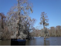 Louisiane