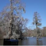 Louisiane