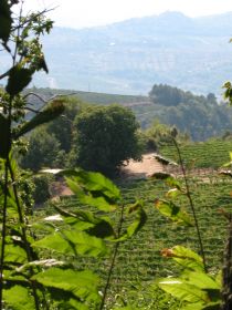 Toscane