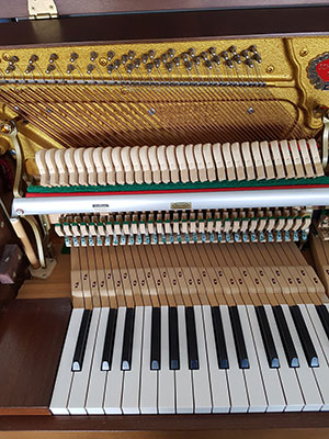 Accordeur Professionnel à Paris