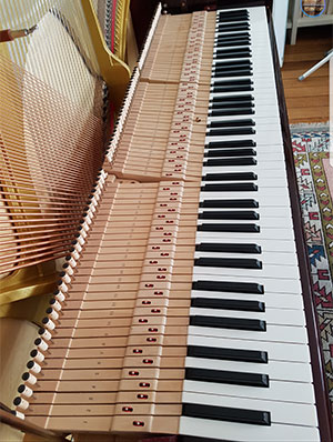 Accordeur Professionnel Pianos à Paris